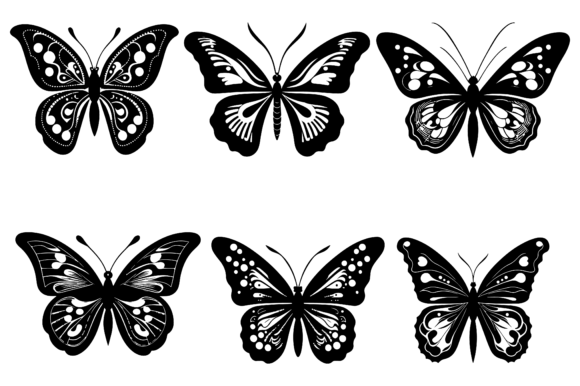 Download Butterfly Vector Illustration - Butterfly Collection